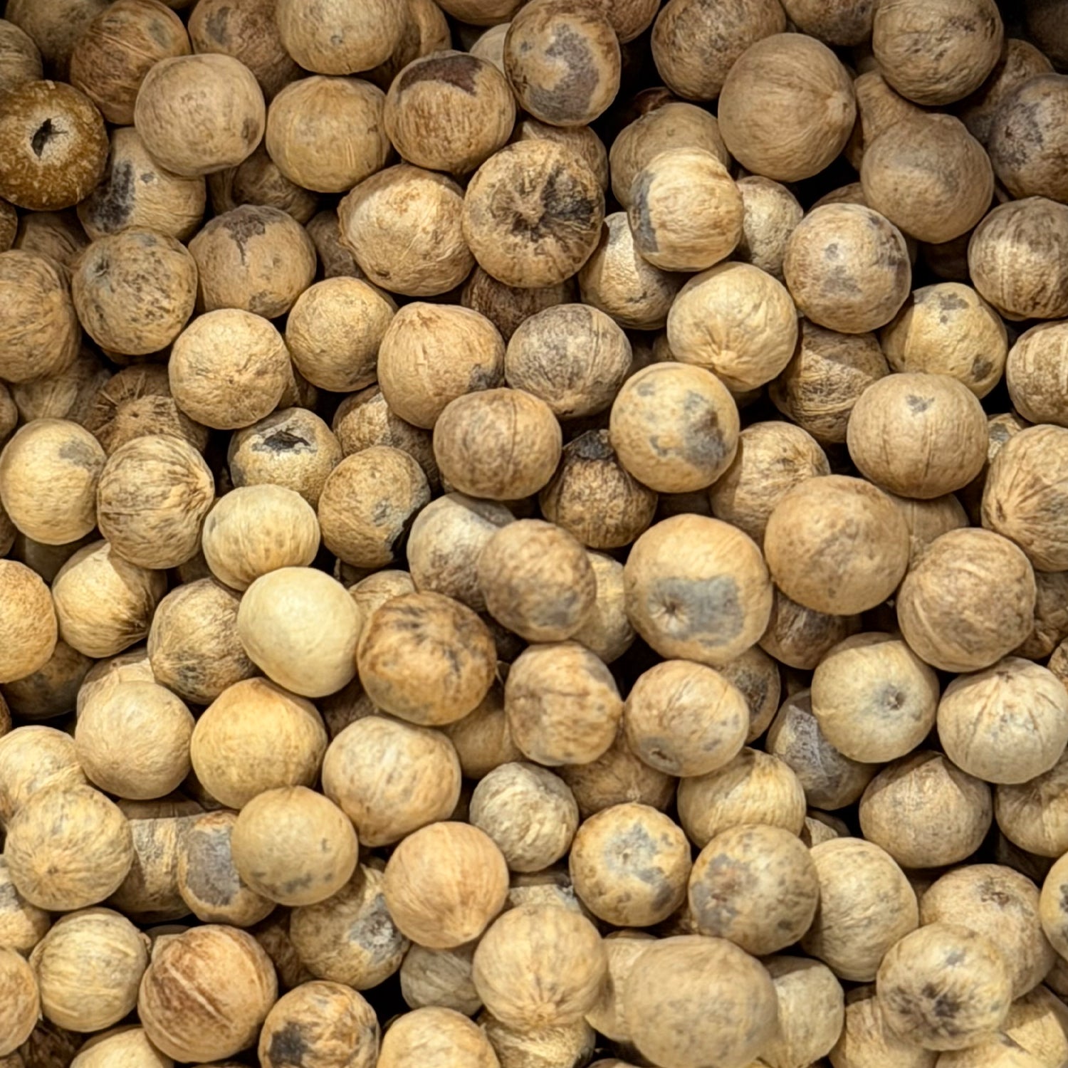 Білий перець Kampot pepper PGI white
